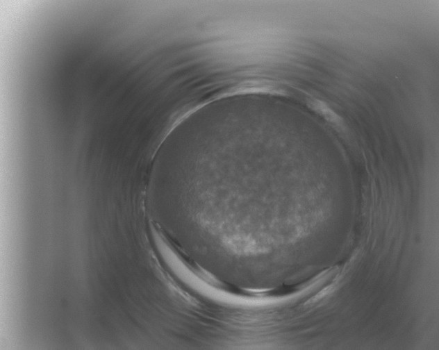 X0000069381369200605262039