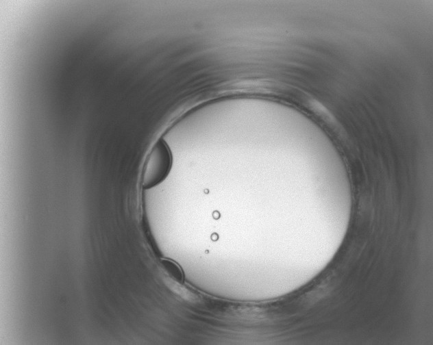 X0000069381370200605262039