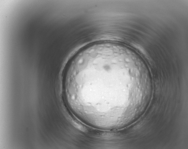 X0000069381371200605262039