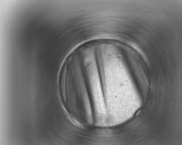 X0000069381372200605262039