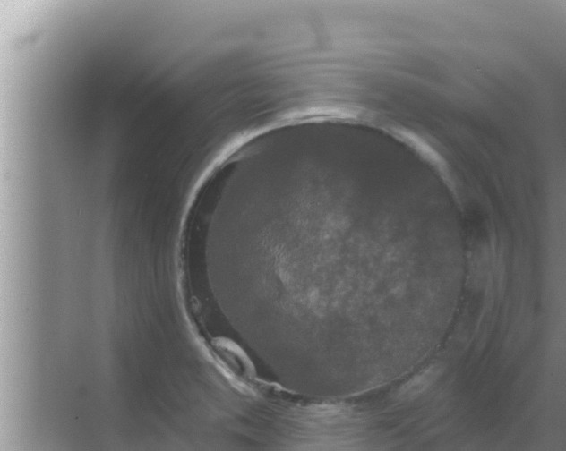 X0000069381373200605262039