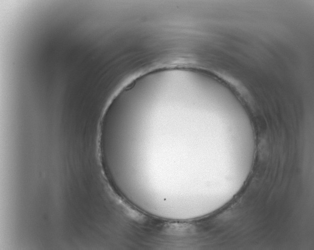 X0000069381374200605262039