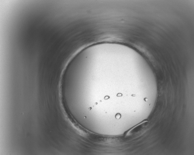 X0000069381375200605262039