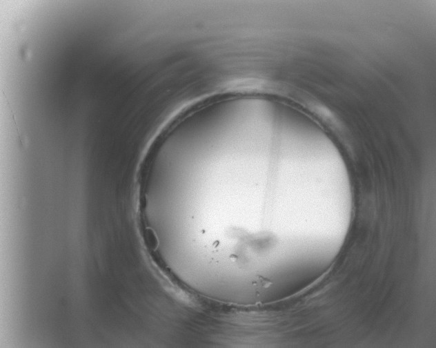 X0000069381376200605262039