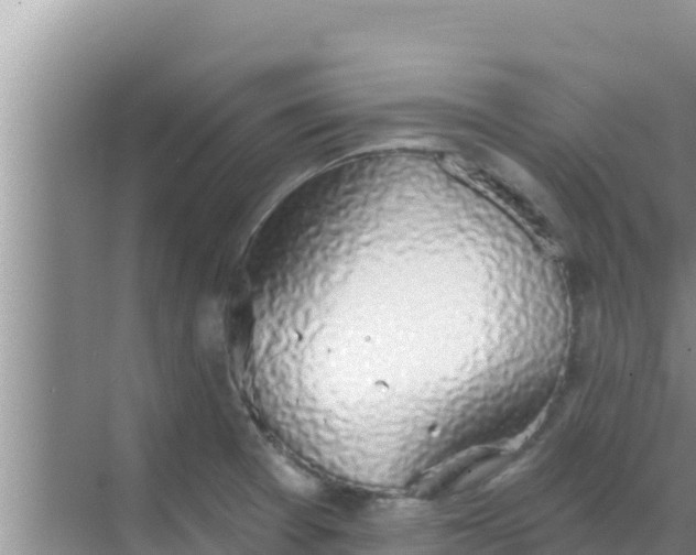 X0000069381377200605262039