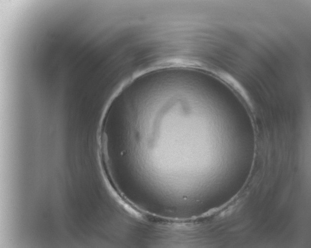 X0000069381381200605262039