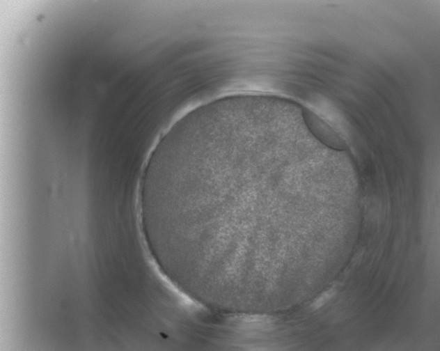 X0000069381382200605262039