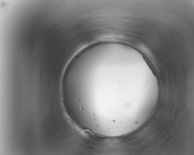 X0000069381384200605262039