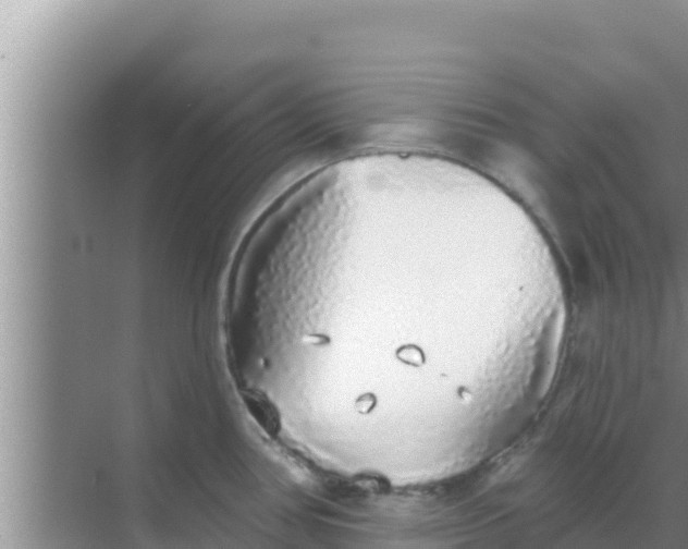 X0000069381386200605262039