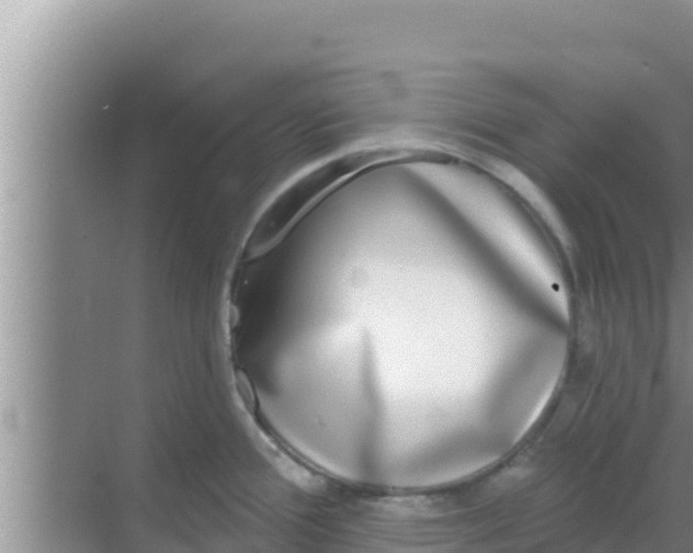 X0000069381388200605262039