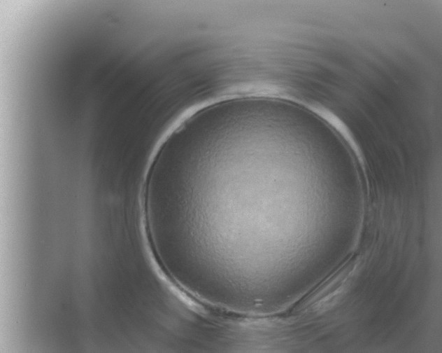 X0000069381389200605262039