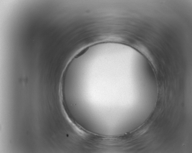 X0000069381391200605262039