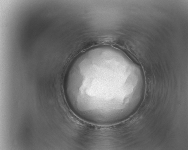 X0000069381393200605262038