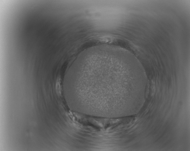 X0000069381394200605262038