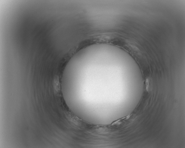 X0000069381395200605262038