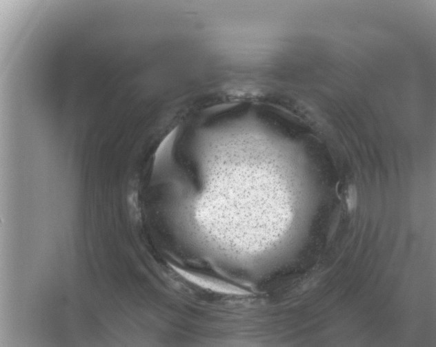 X0000069381396200605262038