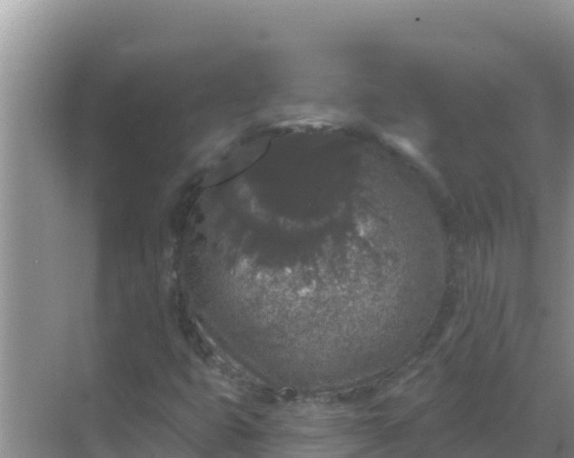 X0000069381399200605262038