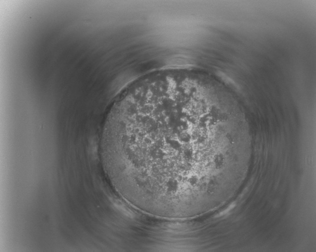 X0000069381401200605262038