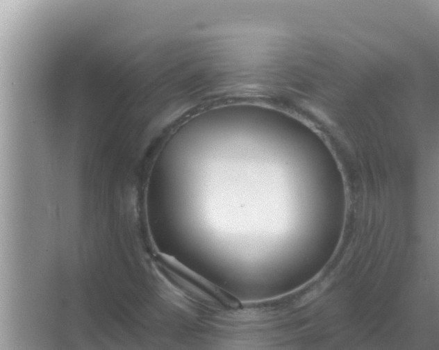 X0000069381402200605262038