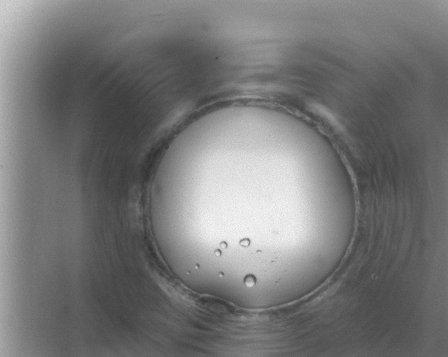 X0000069381403200605262038