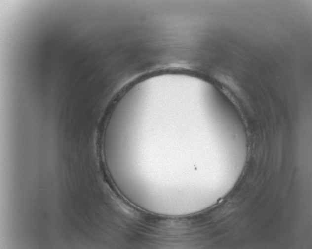 X0000069381404200605262038