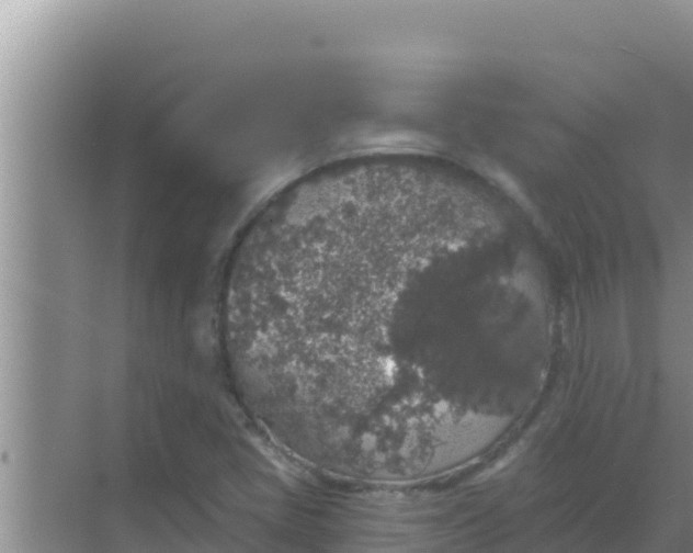 X0000069381405200605262038