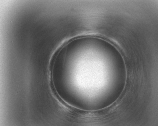 X0000069381414200605262039