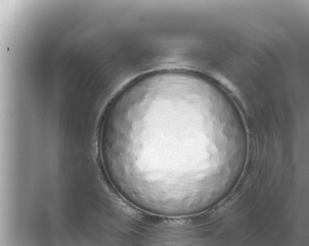 X0000069381415200605262039