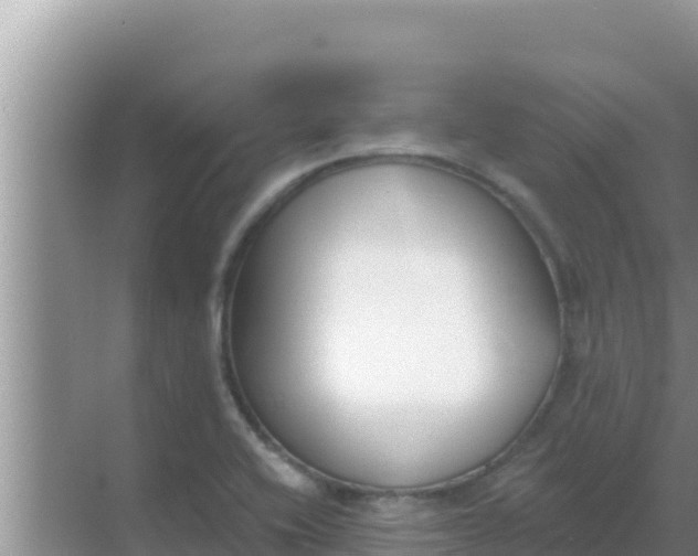 X0000069381416200605262039