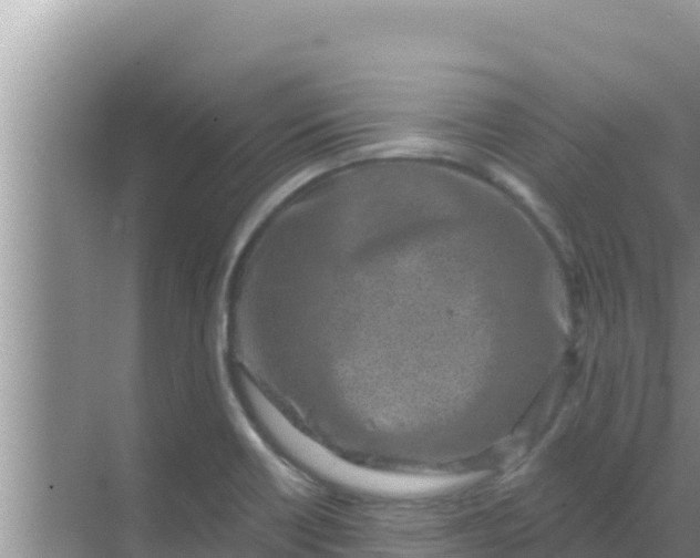 X0000069381418200605262039