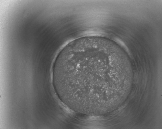 X0000069381419200605262039