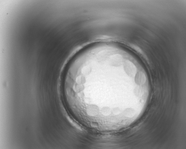 X0000069381421200605262039