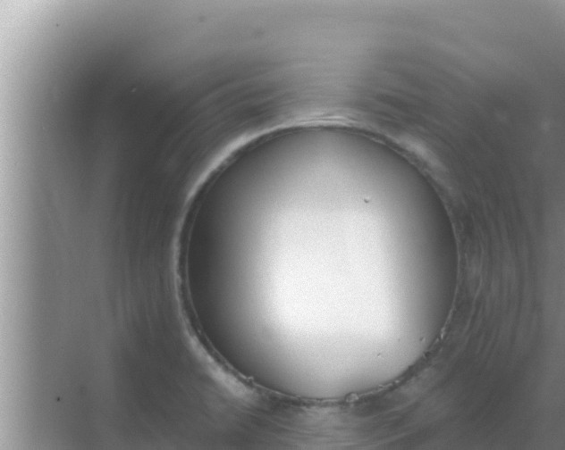 X0000069381422200605262039