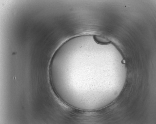 X0000069381423200605262039