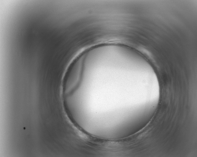 X0000069381424200605262039