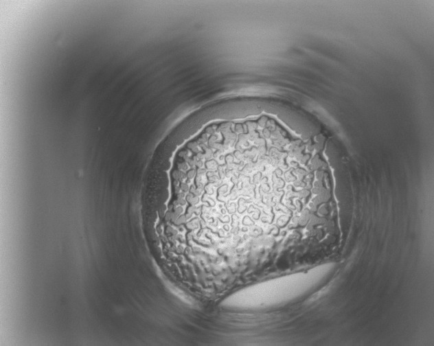 X0000069381425200605262039