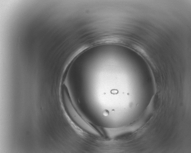 X0000069381426200605262039