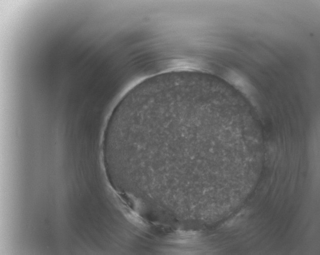 X0000069381427200605262039