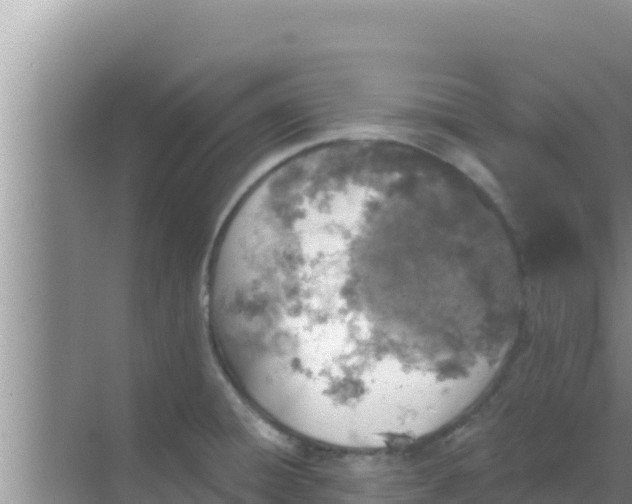 X0000069381428200605262039