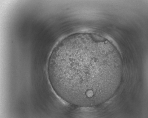 X0000069381429200605262039