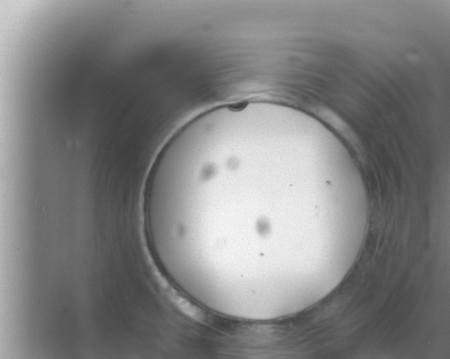 X0000069381431200605262039