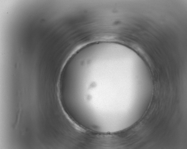 X0000069381432200605262039