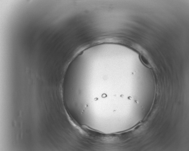 X0000069381433200605262039