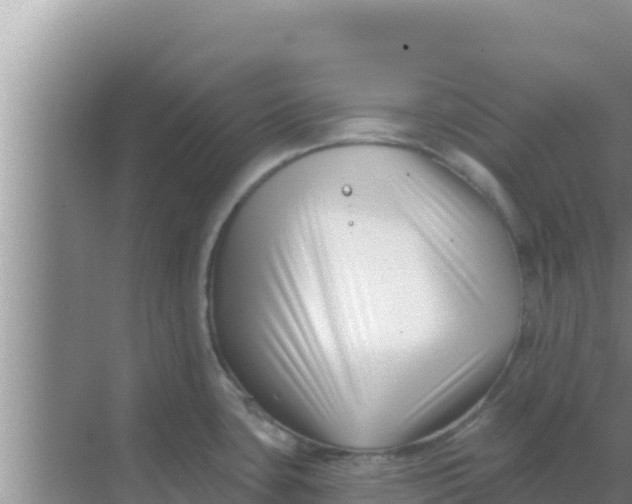 X0000069381435200605262039