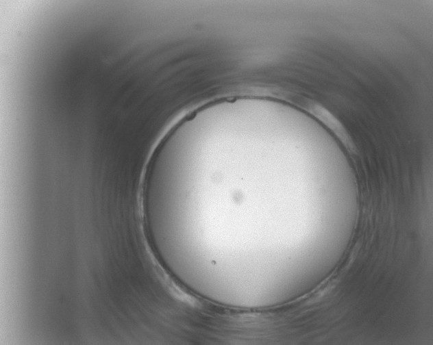 X0000069381436200605262039