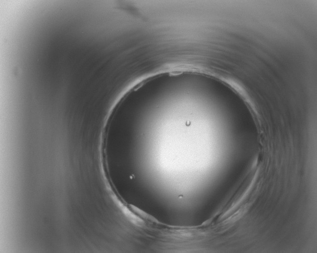 X0000069381438200605262039