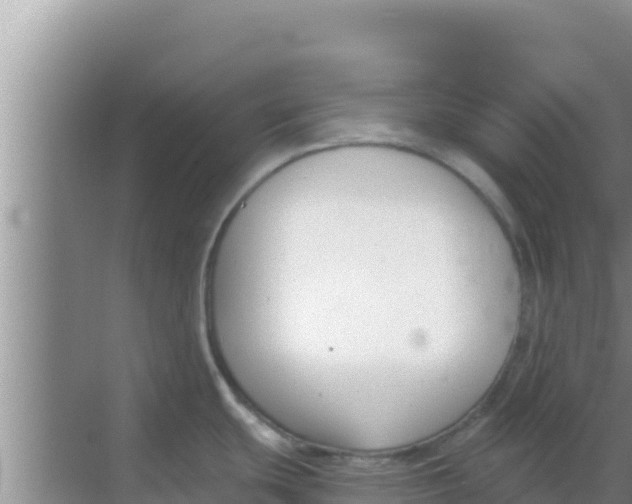 X0000069381439200605262039