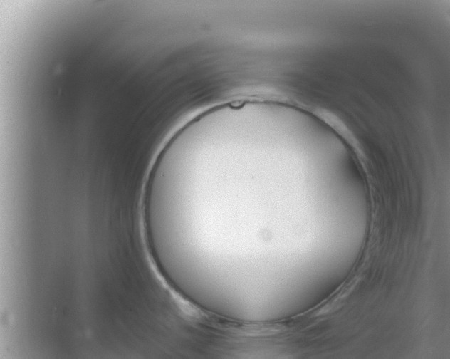 X0000069381440200605262039