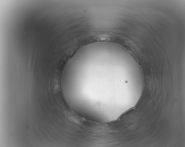 X0000069381442200605262038