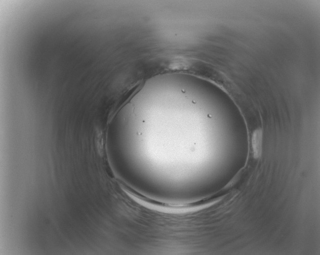 X0000069381443200605262038